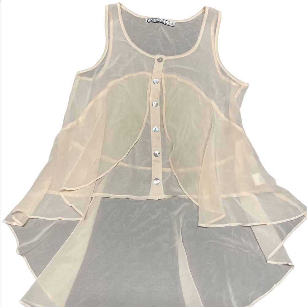 Pale pink sheer blouse